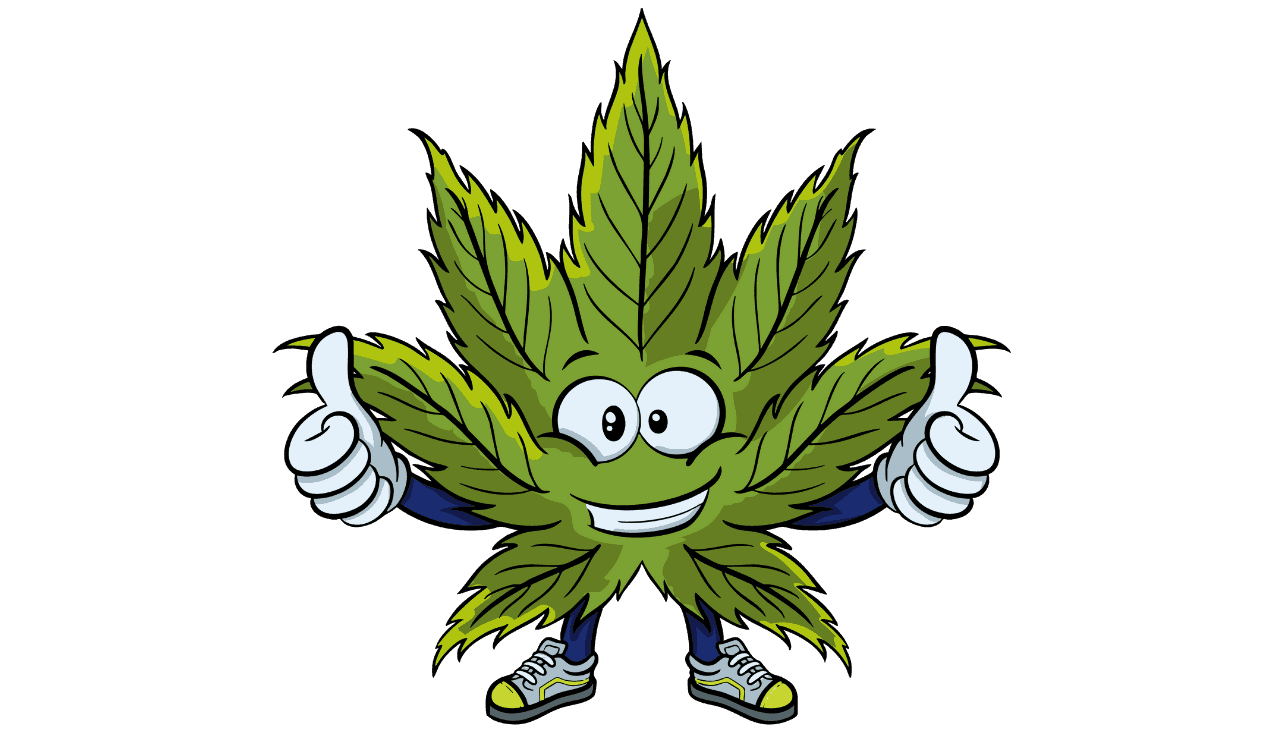 Hanfi, das Cannabisblatt